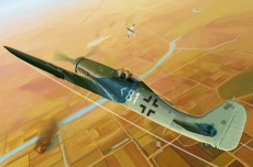 Focke-Wulf FW190D-11 (Hobby Boss) 1/48
