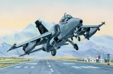 AMX Ground Attack Aircraft (Hobby Boss) 1/48
