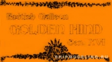 Табличка 70х40 мм Golden Hind