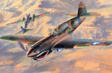 P-40E Warnawk (HASEGAWA) 1/48
