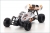 1:10 EP 4WD Racing Buggy R/S Dirt HOG Type 1
