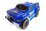 1/18 EP 4WD Off Road Trophy Car (Brushed, Ni-Mh)