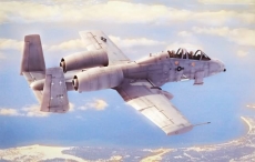 N/AW A-10A THUNDERBOLT II (Hobby Boss) 1/48