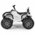 Детский квадроцикл Grizzly ATV White 12V с пультом управления 2.4G - BDM0906-W
