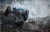 Трагги Losi TEN-MT Brushless 4WD AVC 1:10 (черный/синий)